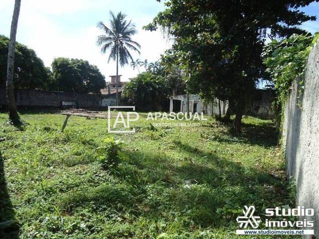 Terreno para Venda em Caraguatatuba - 1