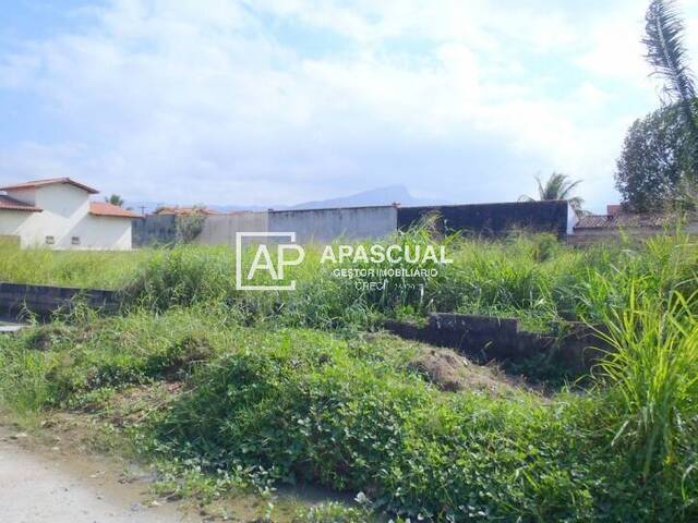 Terreno para Venda em Caraguatatuba - 3