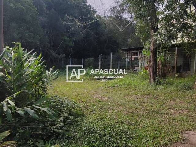 Terreno para Venda em Caraguatatuba - 4