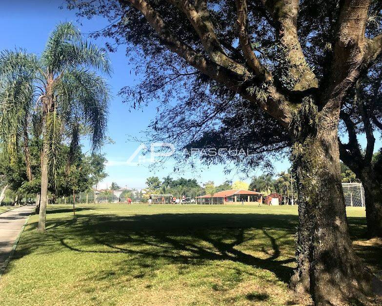 Casa, 4 quartos, 380 m² - Foto 19