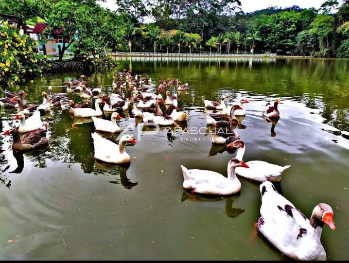 Casa, 3 quartos, 250 m² - Foto 24