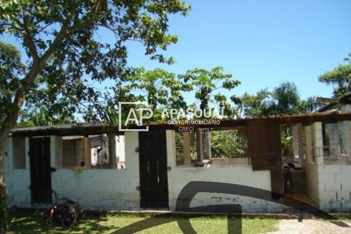 Sítio à venda com 4 quartos, 3m² - Foto 5